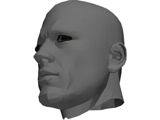 Male Adult Head  3D Model
