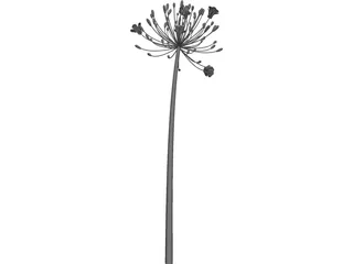 Bell Agapanthus Flower 3D Model