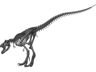 Tyrannosaurus Rex Skeleton 3D Model