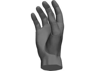 Hand 3D Model