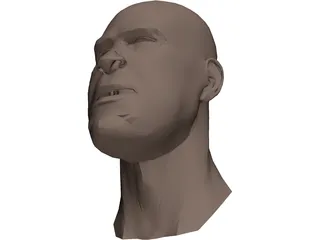 Human Head Face 3D Model