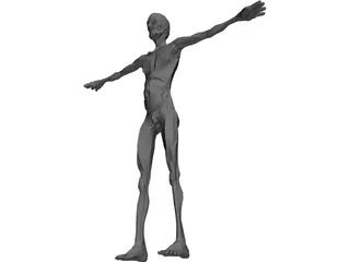 Old Skinny Man  3D Model