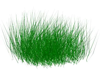 Grass 3D Model