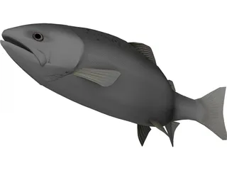 Happy Fish 3D Model