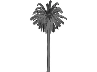 Palm Tree 3D Model