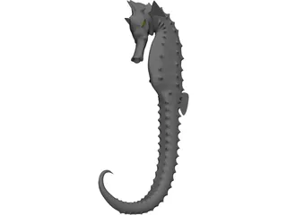 Hippocampe 3D Model