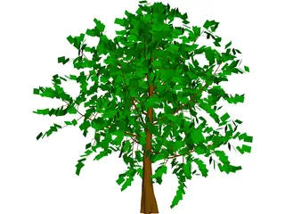 Baum Tree 3D Model