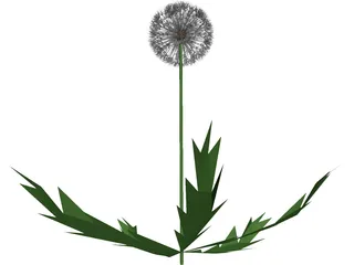 Dandelion 3D Model