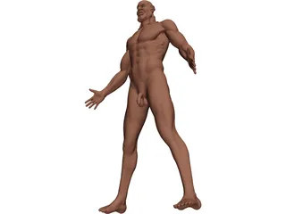 Man 3D Model