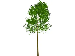 Tree 3D Model