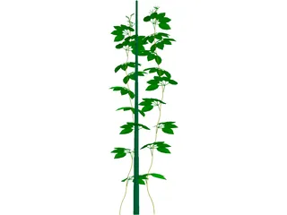 Plant 3D Model