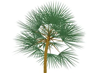 Palm  3D Model