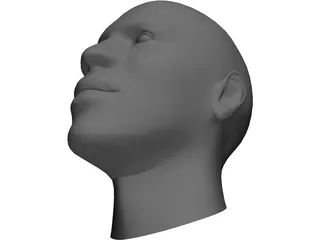 Head Mike Tyson 3D Model