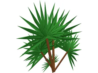 Palmetto Plant 3D Model