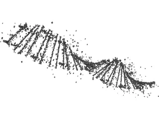 DNA Human 3D Model