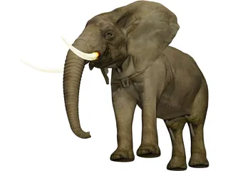 Elephant 3D Model