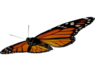 Butterfly 3D Model