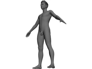 Male 3D Model