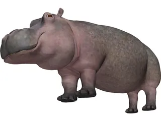 Hippopotamus 3D Model