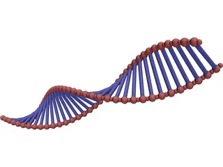 DNA Double Helix 3D Model