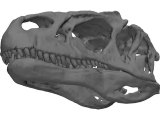 Allosaurus Fragilis Skull 3D Model