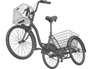 Three-wheeled Bicycle 3D Model