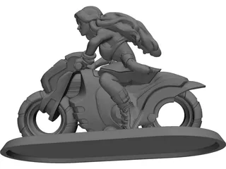 Rider Warrior 3D Model