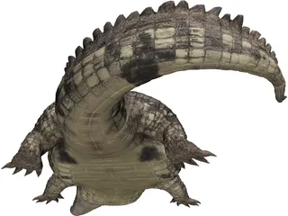 Crocodile 3D Model