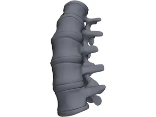 Lumbar Spine 3D Model