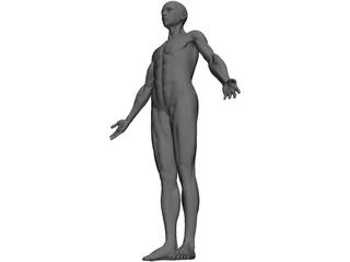 Full Human Anatomy for Simulation 3D Model