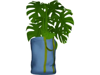 Monstera Deliciosa 3D Model