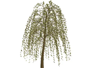 Tree 3D Model