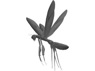 Flying Mantis 3D Model