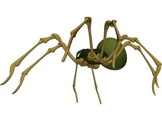 Spider 3D Model