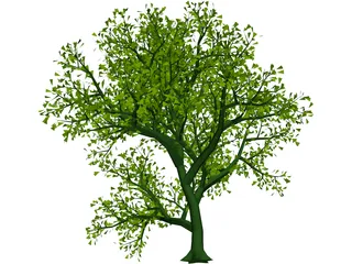 Lush Tree 3D Model