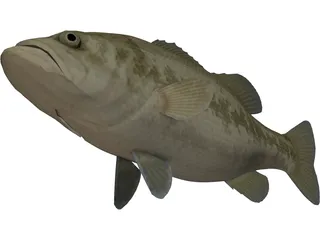 Florida Largemouth Bass 3D Model