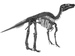Edmontosaurus Skeleton 3D Model