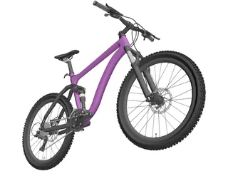 Bicycle Enduro 3D Model