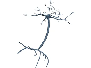 Neuron 3D Model