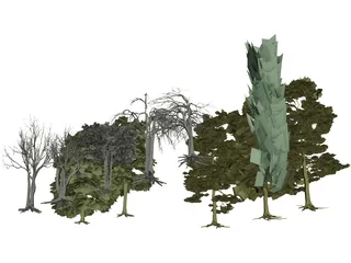 Tree Collection 3D Model