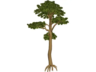 Pine 3D Model