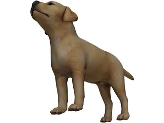 Dog 3D Model