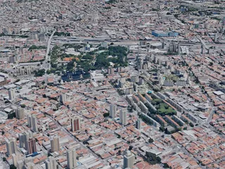 Sao Paulo City, Brazil (2019) 3D Model