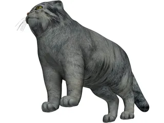 Pallas Cat 3D Model