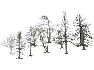 Dead Trees 3D Model