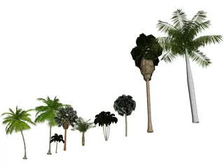 Tree Collection 3D Model