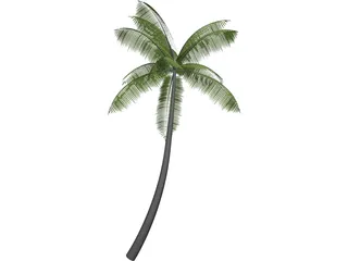 Palm 3D Model