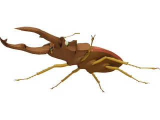 Beetle 3D Model