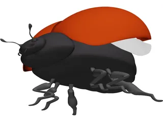 Bug Female 3D Model