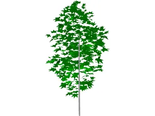 Tree 3D Model